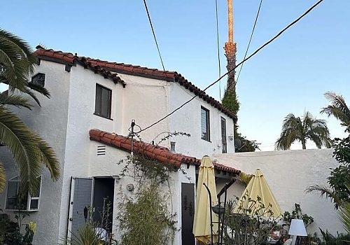 a palm tree near a house in Santa Monica